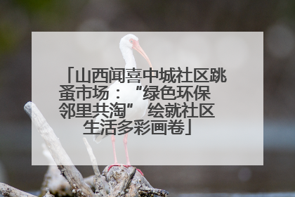 山西闻喜中城社区跳蚤市场：“绿色环保 邻里共淘” 绘就社区生活多彩画卷
