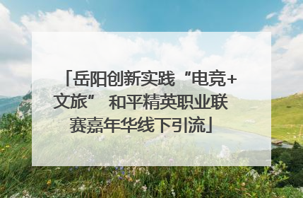 岳阳创新实践“电竞+文旅” 和平精英职业联赛嘉年华线下引流