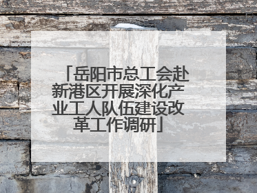岳阳市总工会赴新港区开展深化产业工人队伍建设改革工作调研