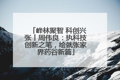 峰林聚智 科创兴张丨周伟良：执科技创新之笔，绘就张家界药谷新篇