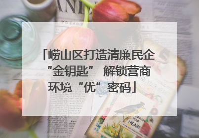 崂山区打造清廉民企“金钥匙” 解锁营商环境“优”密码