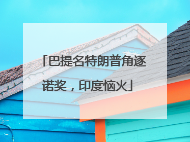 巴提名特朗普角逐诺奖，印度恼火