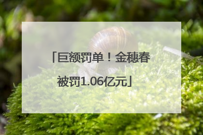 巨额罚单！金穗春被罚1.06亿元