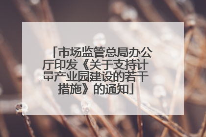 市场监管总局办公厅印发《关于支持计量产业园建设的若干措施》的通知