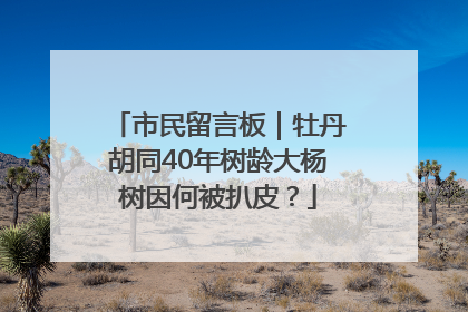 市民留言板｜牡丹胡同40年树龄大杨树因何被扒皮？