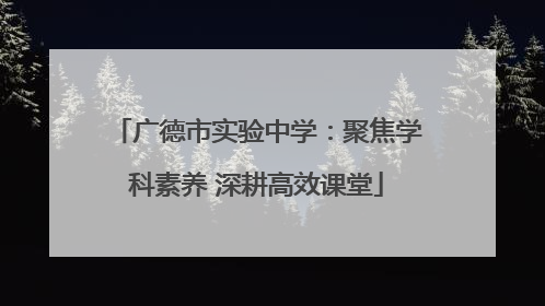 广德市实验中学：聚焦学科素养 深耕高效课堂