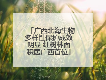 广西北海生物多样性保护成效明显 红树林面积居广西首位