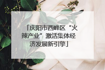 庆阳市西峰区“火辣产业”激活集体经济发展新引擎
