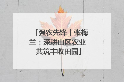 强农先锋丨张梅兰：深耕山区农业 共筑丰收田园