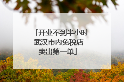 开业不到半小时 武汉市内免税店卖出第一单