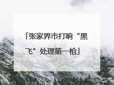 张家界市打响“黑飞”处理第一枪