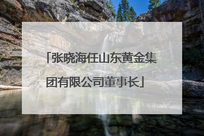张晓海任山东黄金集团有限公司董事长