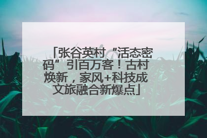 张谷英村“活态密码”引百万客！古村焕新，家风+科技成文旅融合新爆点