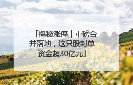 揭秘涨停｜重磅合并落地，这只股封单资金超30亿元