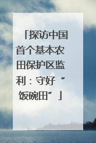探访中国首个基本农田保护区监利：守好“饭碗田”