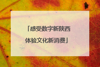 感受数字新陕西 体验文化新消费