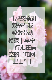 感恩奋进 双争有我·致敬劳动模范｜李宁：行走在高空的“电网卫士”