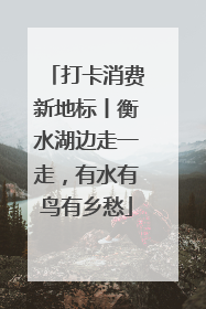 打卡消费新地标丨衡水湖边走一走，有水有鸟有乡愁