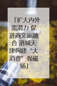 扩大内外需潜力 促进商文旅融合 港城天津构建“大消费”强磁场