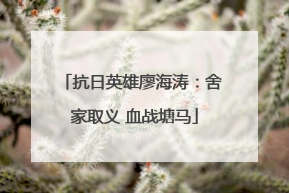 抗日英雄廖海涛：舍家取义 血战塘马