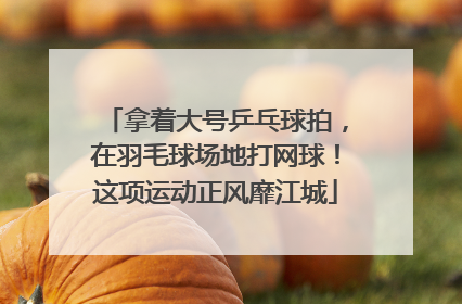 拿着大号乒乓球拍，在羽毛球场地打网球！这项运动正风靡江城