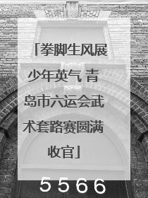 拳脚生风展少年英气 青岛市六运会武术套路赛圆满收官