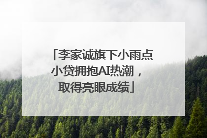 李家诚旗下小雨点小贷拥抱AI热潮，取得亮眼成绩