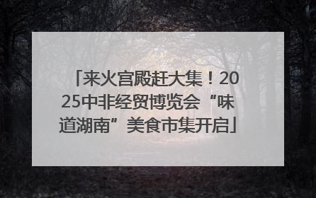来火宫殿赶大集！2025中非经贸博览会“味道湖南”美食市集开启
