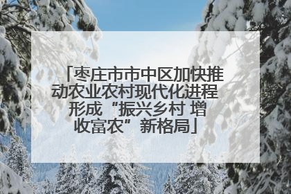 枣庄市市中区加快推动农业农村现代化进程 形成“振兴乡村 增收富农”新格局