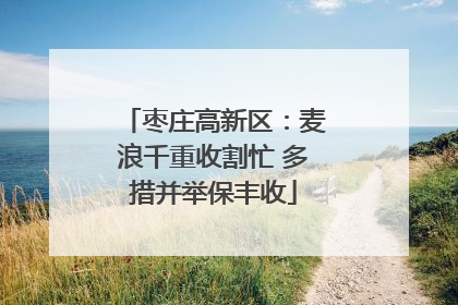 枣庄高新区：麦浪千重收割忙 多措并举保丰收