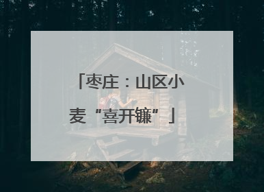 枣庄：山区小麦“喜开镰”