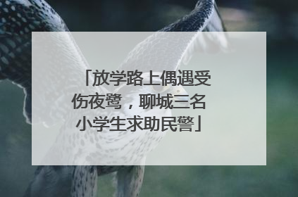 放学路上偶遇受伤夜鹭，聊城三名小学生求助民警