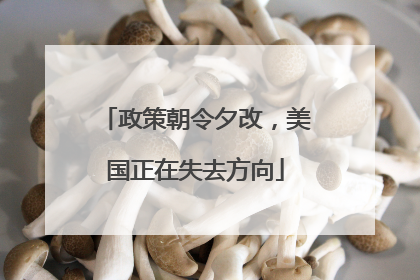 政策朝令夕改，美国正在失去方向