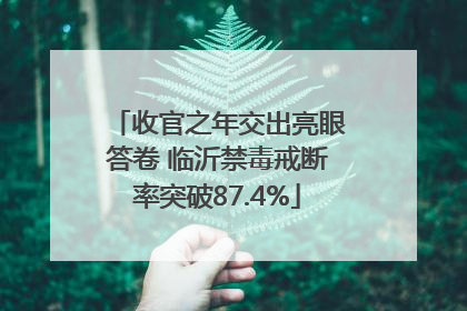 收官之年交出亮眼答卷 临沂禁毒戒断率突破87.4%