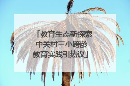 教育生态新探索 中关村三小跨龄教育实践引热议