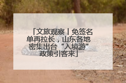文旅观察丨免签名单再拉长，山东各地密集出台“入境游”政策引客来