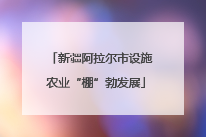 新疆阿拉尔市设施农业“棚”勃发展