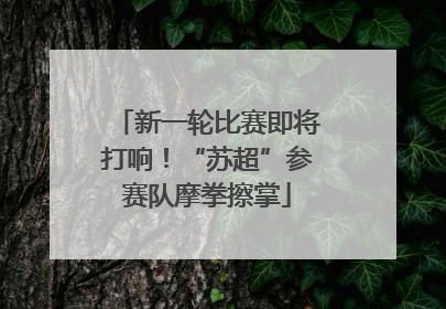 新一轮比赛即将打响！“苏超”参赛队摩拳擦掌