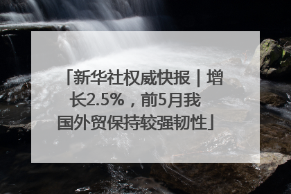新华社权威快报｜增长2.5%，前5月我国外贸保持较强韧性