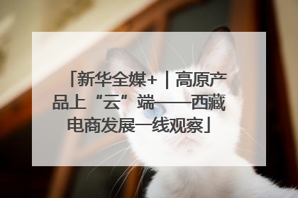 新华全媒+｜高原产品上“云”端——西藏电商发展一线观察