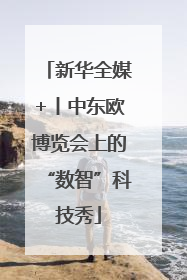 新华全媒+丨中东欧博览会上的“数智”科技秀