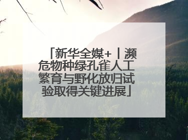 新华全媒+丨濒危物种绿孔雀人工繁育与野化放归试验取得关键进展