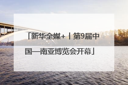 新华全媒+丨第9届中国—南亚博览会开幕