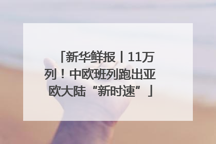新华鲜报丨11万列！中欧班列跑出亚欧大陆“新时速”