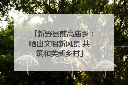 新野县前高庙乡：晒出文明新风景 共筑和美新乡村