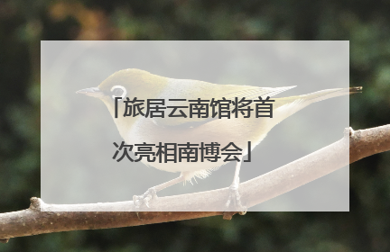旅居云南馆将首次亮相南博会