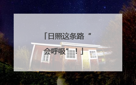 日照这条路“会呼吸”！