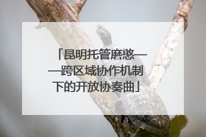 昆明托管磨憨——跨区域协作机制下的开放协奏曲