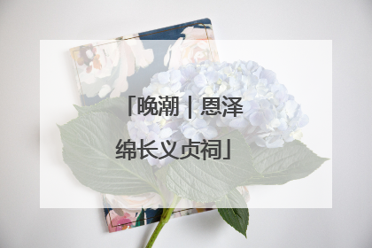 晚潮｜恩泽绵长义贞祠