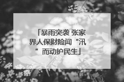 暴雨突袭 张家界人保财险闻“汛”而动护民生